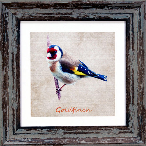Irish Garden Birds Goldfinch 9"x 9", available in 4 frame colours.