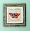 Irish Garden Butterflies Small Tortoiseshell 9"x 9", available in 4 frame colours.
