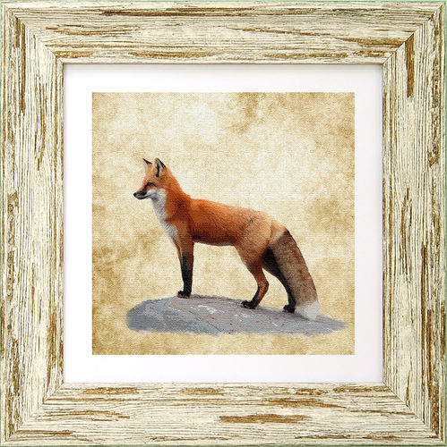 Irish Wildlife Fox Art Frame 9"x 9", available in 4 frame colours.