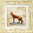 Irish Wildlife Fox Art Frame 9"x 9", available in 4 frame colours.