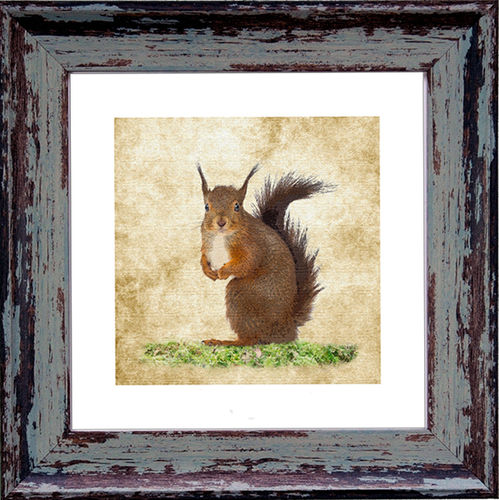 Irish Wildlife Squirrel 9"x 9", available in 4 frame colours.
