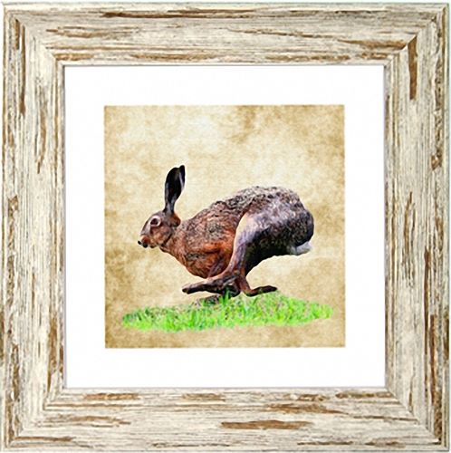 Irish Wildlife Hare 9"x 9", available in 4 frame colours.