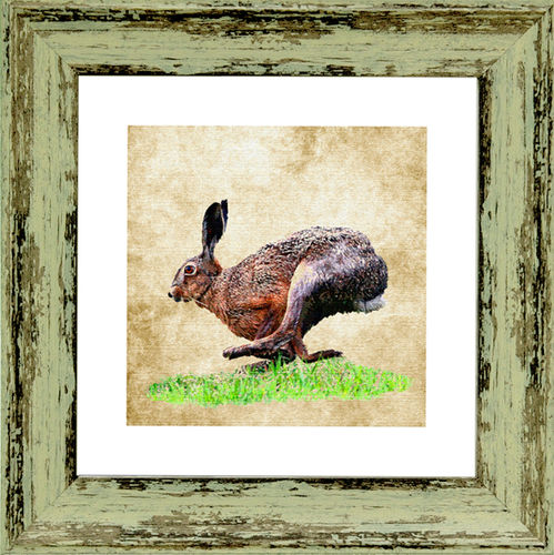 Irish Wildlife Hare 9"x 9", available in 4 frame colours.