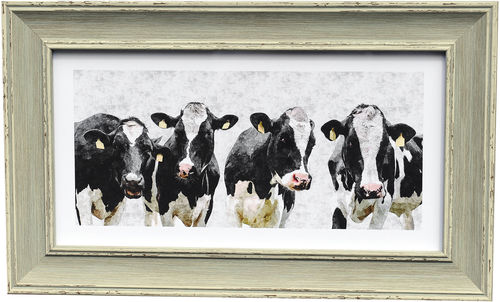 Freisan cow panorama, Blue, available in 3 other frame colours.