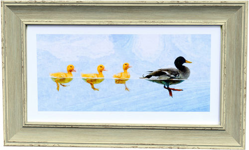 Duck Panorama Blue, available in 3 other frame colours.