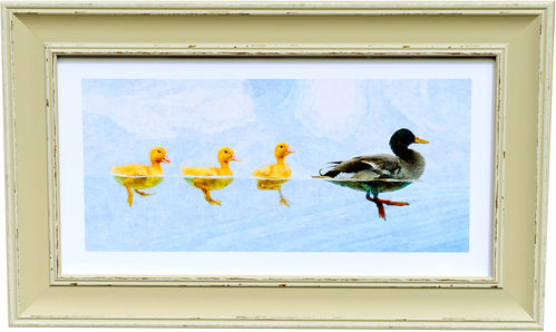 Duck Panorama Dove, available in 3 other frame colours.