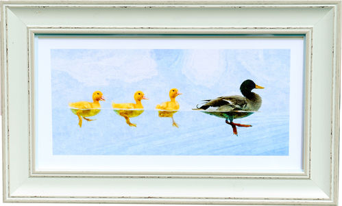 Duck Panorama Worn White, available in 3 other frame colours.