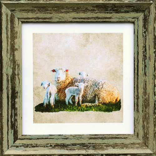 Irish Farm Animal Ewe and Lambs, Green, available in 3 other frame colours