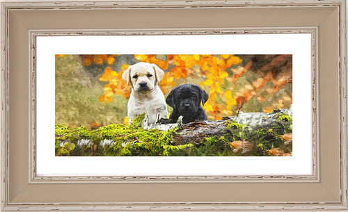 Pups panorama Dove, available in 3 other frame colours