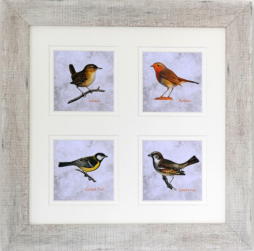 15" x 15" Double Mount 4 Garden Birds, White, available in 3 other frame colours.