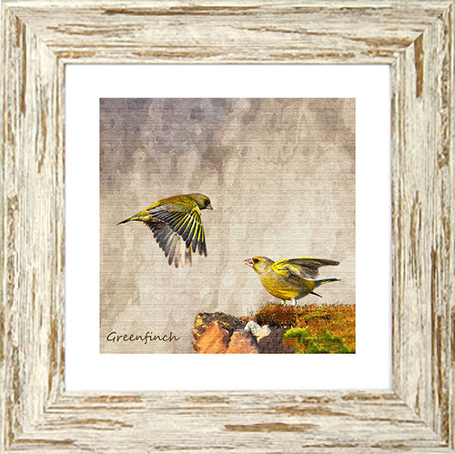 Greenfinch 9" x 9" Dark Brown Wash, available in 3 other frame colours.