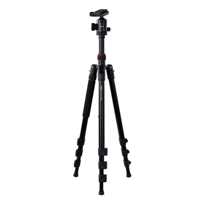 Dorr PB 180 + Ball Head Dorr PB 180 + Ball Head