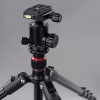 Dorr PB 180 + Ball Head Dorr PB 180 + Ball Head
